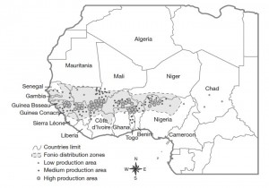 Aire de production du fonio en Afrique de l’Ouest (Vodouhè et al., 2007)